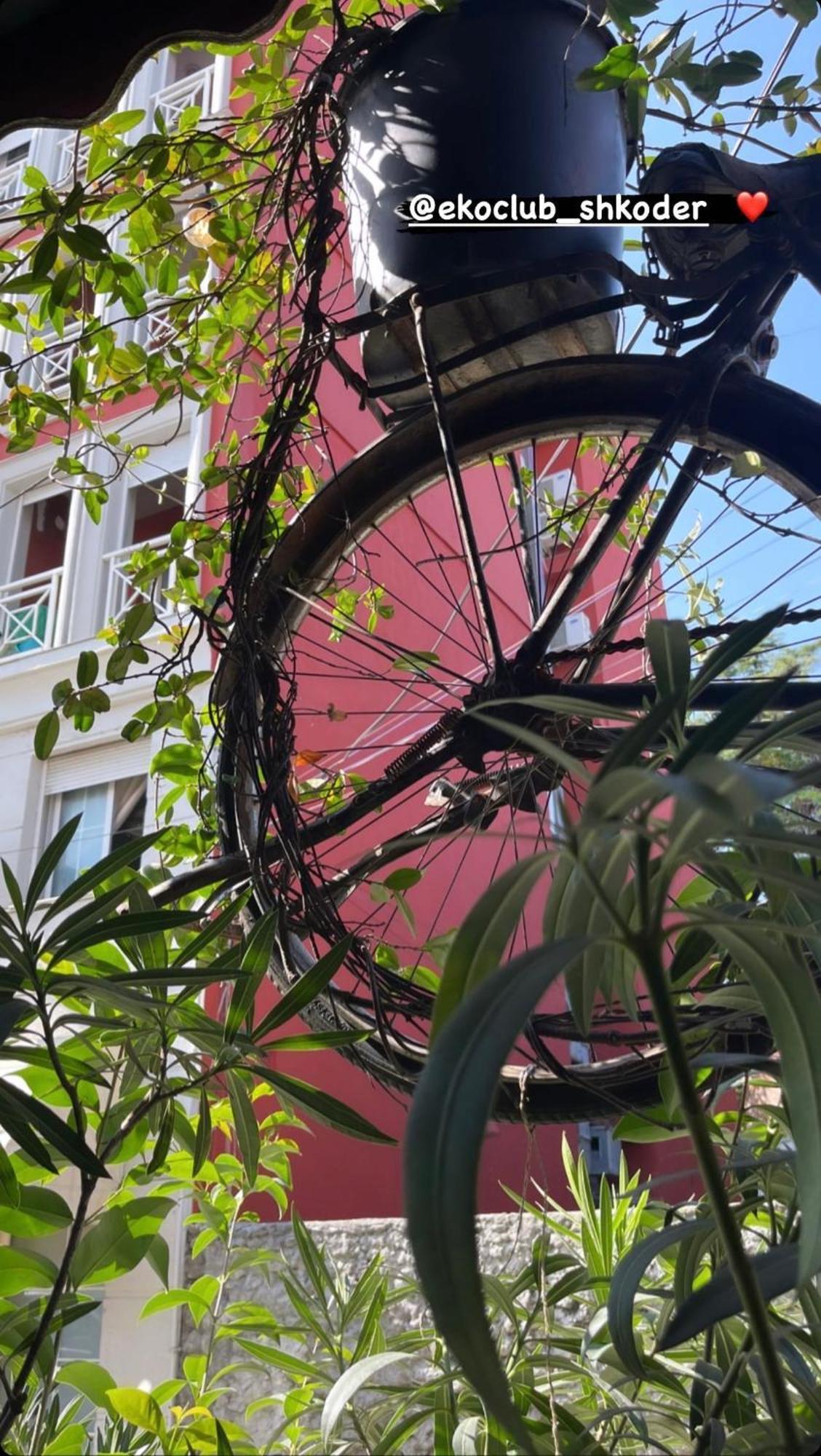Apartment Pedestrian Street Center Shkoder